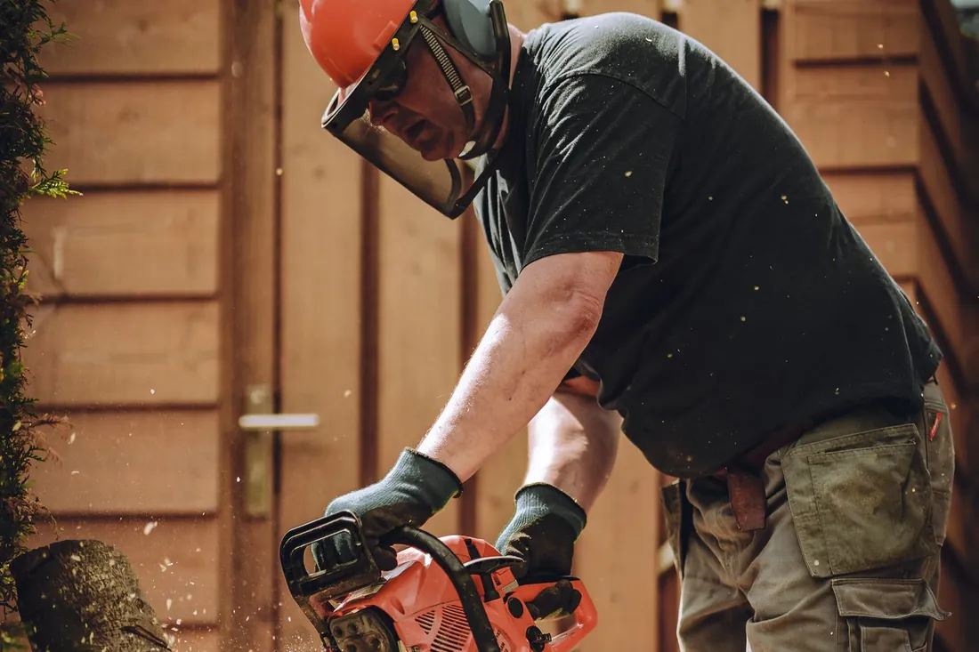 Tree services in Galveston, TX